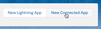 new-connected-app.png